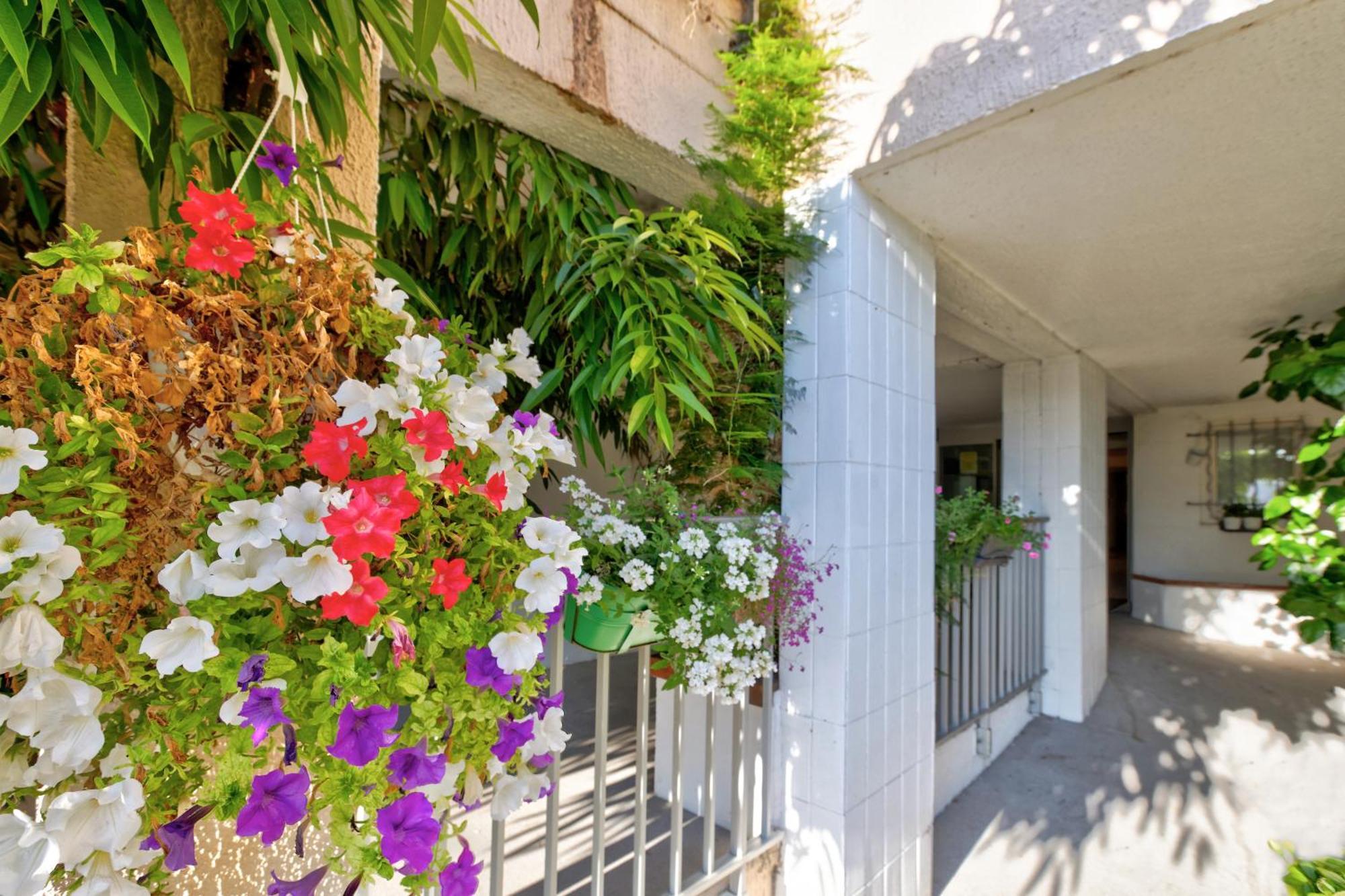 Residence Pierre & Vacances Bandol Port מראה חיצוני תמונה